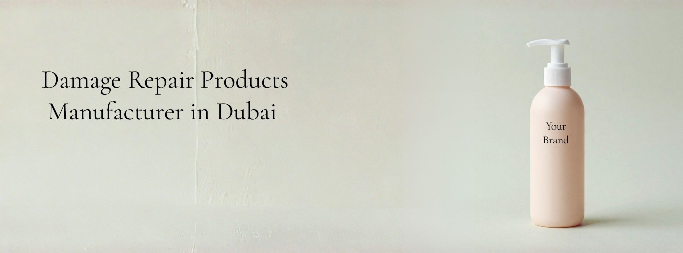 Damage Repair Products Manufacturer in Dubai