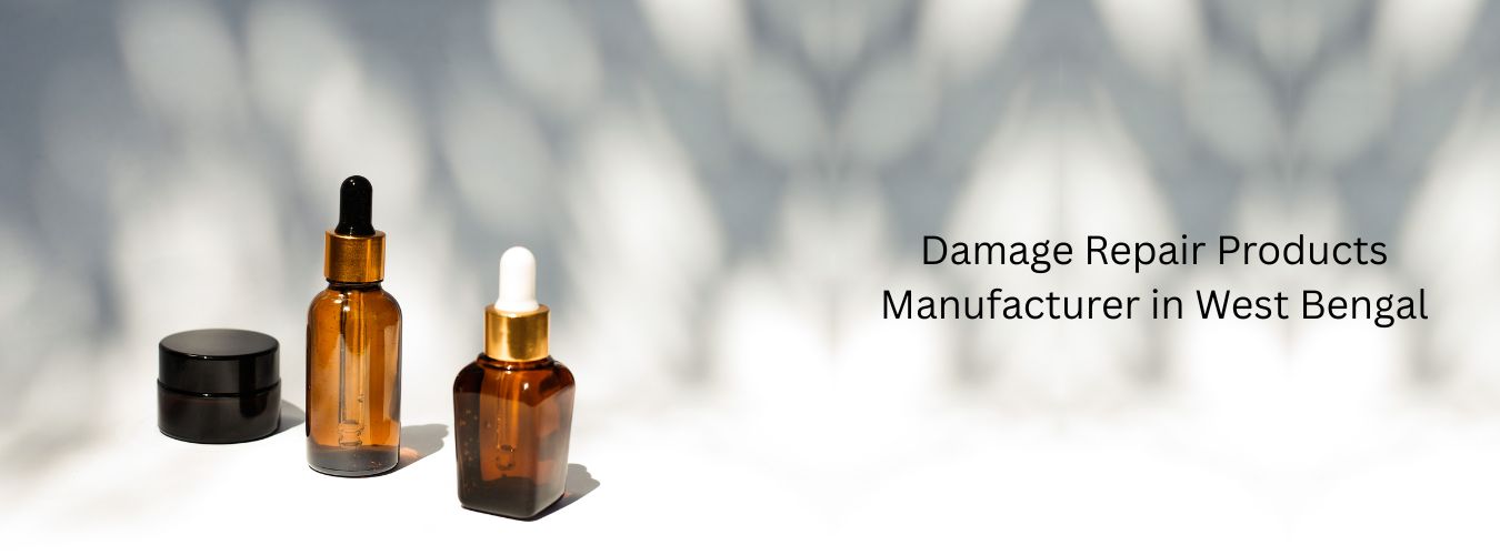 Damage Repair Products Manufacturer in West Bengal