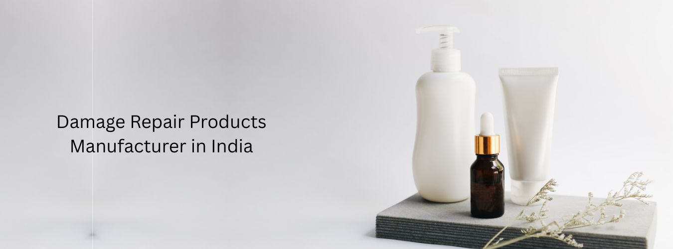 Damage Repair Products Manufacturer in India